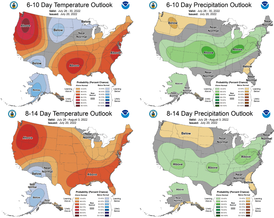 The 6-10 day (July 26-30, top) and 8-14 day (July 28-Aug 3, bottom) outlooks for temperature (left) and precipitation (right).
